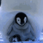 코트 추천받아용