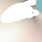 얘들아 내 코 잘린<b>코야</b>..?
