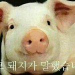 낼 이렇게<b>입음</b> 추워?