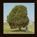 배우김주혁님 카톡프사봤어??ㅠ