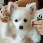 내 친구 고소당할 수도 있다는데