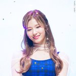 컴백하고 미모 리즈 찍은 사나. jpgif