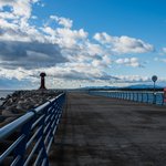 비오는 fire <b>gold</b>라니.