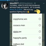 부정투표는 이게 부정 아님?