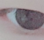 [드루와] 유쌍 <b>무쌍</b>보다 존재감이없는 속쌍