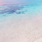 the ocean 들어줘