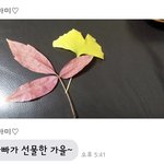 <b>자랑</b>글) 기분 좋게 웃고 가세요❤️