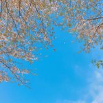 [이것좀봐줘] 연상 <b>최대</b>나이차이
