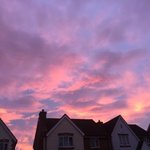 [조언부탁해] 여우년이 <b>주소</b>이전해서 같은학교감