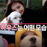 와 블랙핑크 리얼리티 한대