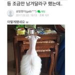 [드루와] 옵치 <b>오버</b>워치 하는애들 들와봐
