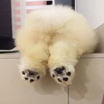 친구한테 집착하는거 어떻게 <b>고침</b>?????