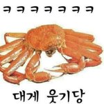 직경큰 렌즈추천좀!