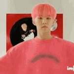 [세븐틴] @@부총대 짤추가글@