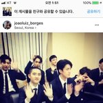 [EXO] 이분인별에애들