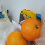 [후기] 귤 얼려먹어 봤다