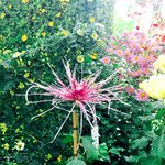 [댓글부탁해] 다들 큰볼일보고 휴지(비데) <b>or</b> 비누샤워??