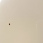 재밌는 <b>모바일</b> <b>게임</b> 추천좀