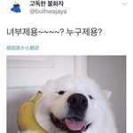 [댓글부탁해] 40대 브랜드 추천좀ㅜㅜ