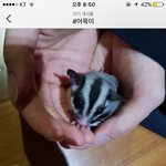 [방탄소년단] 애들 <b>피티</b>쌤 인별에 등장한