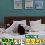 4차원적이지만 공감가는 트와이스 모모 발언 <b>gif</b>