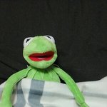 [드루와] 밋밋이 <b>컴백일</b>만 손꼽아 기다린다...