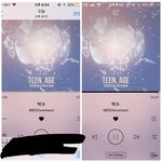 [세븐틴] 캐-하!