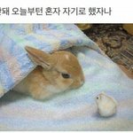 [드루와] 얘들아 친구한테 <b>수치심</b> 느꼈던적 있어?