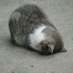 이거 졸<b>귀임</b>ㅋㅋ