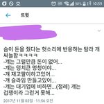 아니 이거보고 개터졌네 <b>암</b>넷