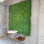 대전) 커피 좋아하시는분!!️