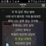 [세븐틴] 타팬인데여ㅕ