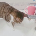 제!발 공공<b>장소</b>에서 애!정!행!각!좀 안!하!면! 안되겠니