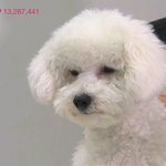 중3인데 기말고사성적 망했다ㅜㅜ우울해