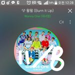 [강다니엘] +짤추가)갓크네이처 녤깅이.<b>gif</b>