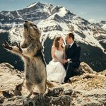 행복한 웨딩사진에 찍힌 <b>훼방</b>꾼