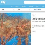 <b>독도</b>새우 실사