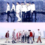 오늘 셔챔 세븐틴 나오는데(움짤ㅇ)