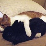 부모님이 <b>자녀</b>한테 배우자욕하는 거 어떻게 생각해