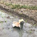 [ㅋㅋㅋㅋㅋ] 내친구 졸라이쁜데 <b>모솔</b>임