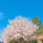 진짜 <b>쌤</b> 때문에 영어 접고싶어요