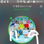 [강다니엘] 녤 뉴짤 이거봤어??