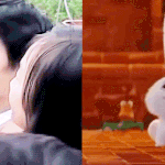 [박지훈] 윙토끼 6탄 (<b>feat</b>. 포동이)