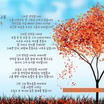 [짝사랑] 그를 사랑한 나무