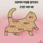 [댓글부탁해] 너희는 <b>체육복</b> 빌리면 빨아 줘?