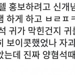 아이콘팬들 블핑머리채 좀 그만잡으면 안됨?