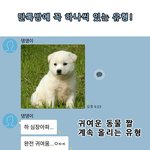 이런 친구들 단<b>톡</b><b>방</b>에 하나씩은 있죠