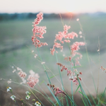 <b>일진</b>애 죽이고 나도 죽을까