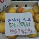 떡코 유행탐?