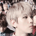 [백현] 151202 2015 <b>MAMA</b> 백현  깨알컷